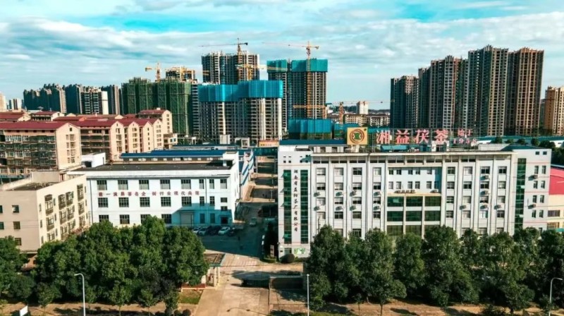 集團(tuán)益陽茶廠作為益陽市唯一企業(yè)入選首批省級非物質(zhì)文化遺產(chǎn)生產(chǎn)性保護(hù)基地彰顯非遺傳承硬實(shí)力