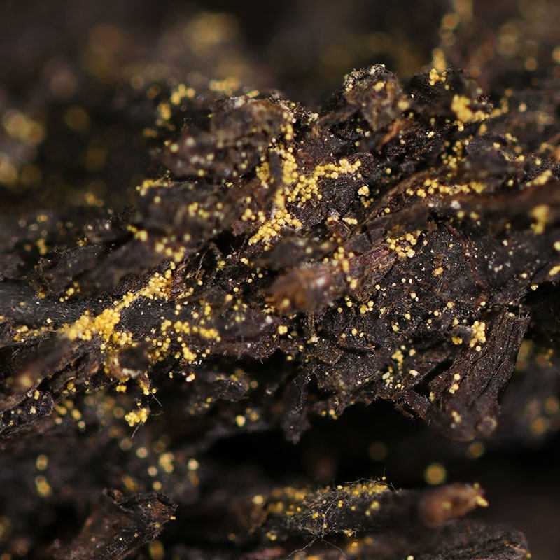 白沙溪安化黑茶金花獲磚特級御品獲茶318g 白沙溪安化黑茶金花獲磚特級御品獲茶318g