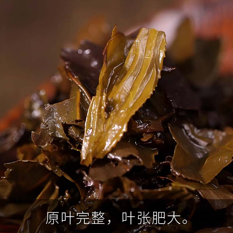 益生元袋泡茶126g